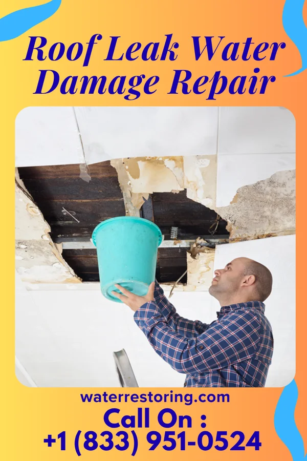 Roof Leak Water Damage Repair in Beaverton, OR